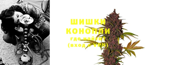 ешки Белокуриха