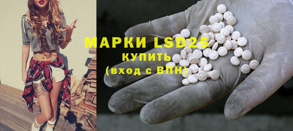 ешки Белокуриха