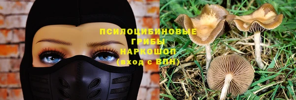 гидропоника Богданович